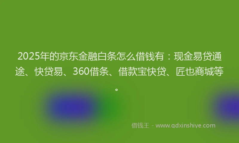 2025年的京东金融白条怎么借钱有:现金易贷通途、快贷易、360借条、借款宝快贷、匠也商城等。