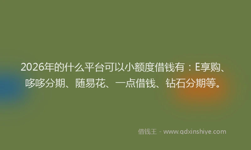 2026年的什么平台可以小额度借钱有：E享购、哆哆分期、随易花、一点借钱、钻石分期等。
