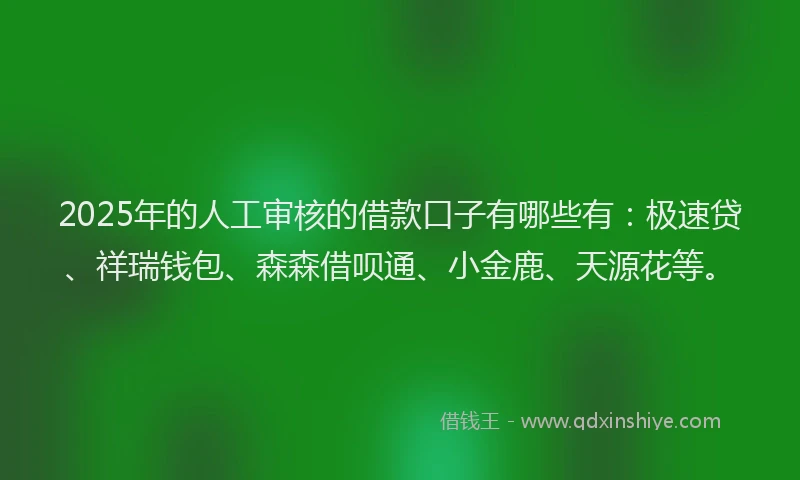 2025年的人工审核的借款口子有哪些有:极速贷、祥瑞钱包、森森借呗通、小金鹿、天源花等。