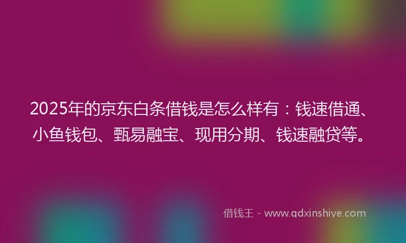 2025年的京东白条借钱是怎么样有：钱速借通、小鱼钱包、甄易融宝、现用分期、钱速融贷等。