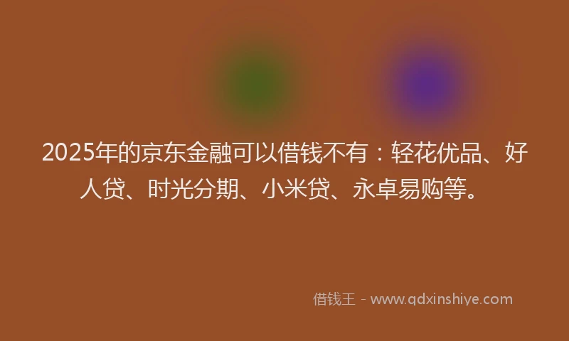 2025年的京东金融可以借钱不有：轻花优品、好人贷、时光分期、小米贷、永卓易购等。