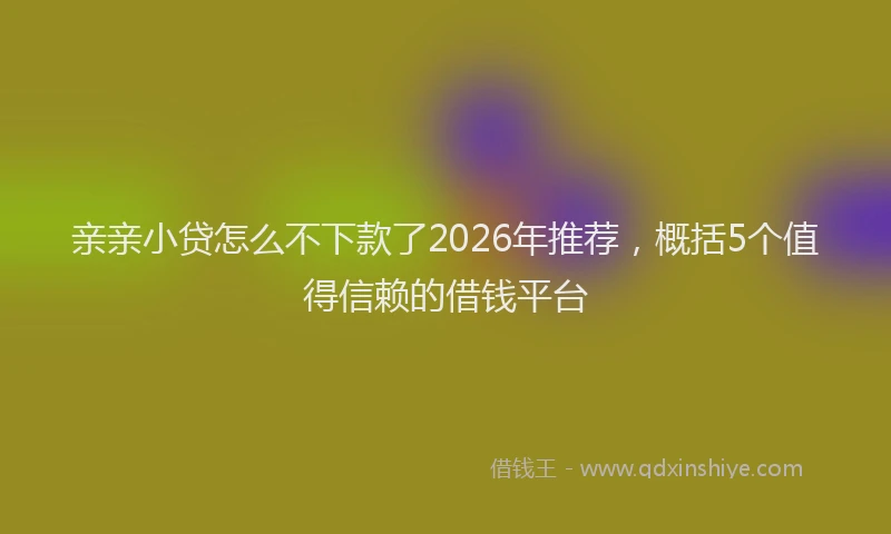 亲亲小贷怎么不下款了2026年推荐，概括5个值得信赖的借钱平台