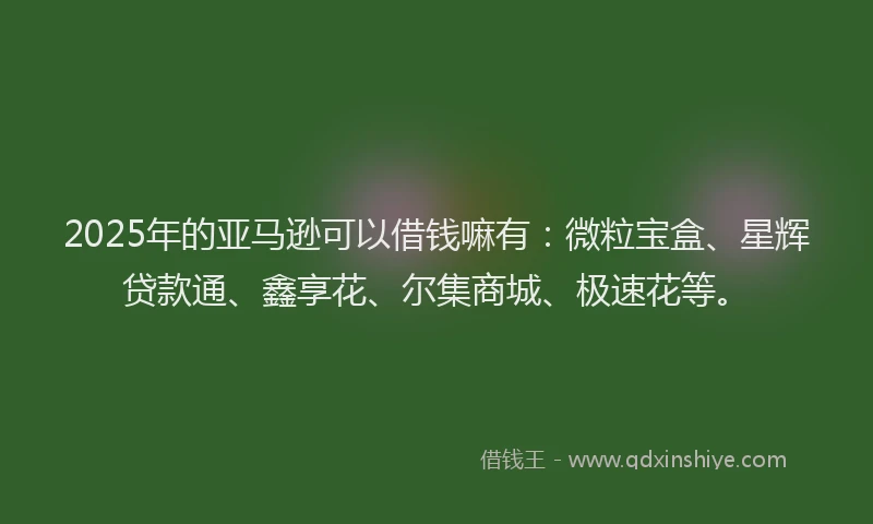 2025年的亚马逊可以借钱嘛有：微粒宝盒、星辉贷款通、鑫享花、尔集商城、极速花等。