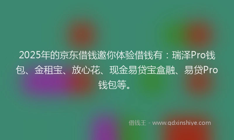 2025年的京东借钱邀你体验借钱有：瑞泽Pro钱包、金租宝、放心花、现金易贷宝盒融、易贷Pro钱包等。