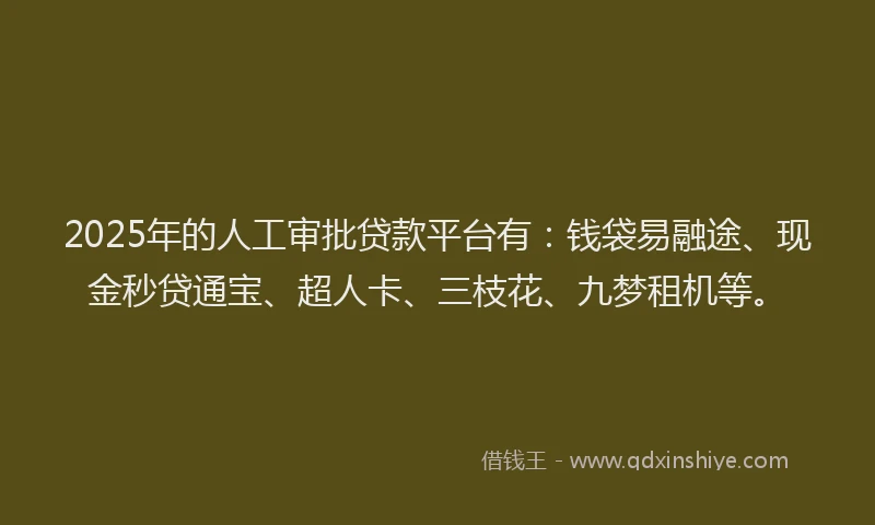 2025年的人工审批贷款平台有：钱袋易融途、现金秒贷通宝、超人卡、三枝花、九梦租机等。