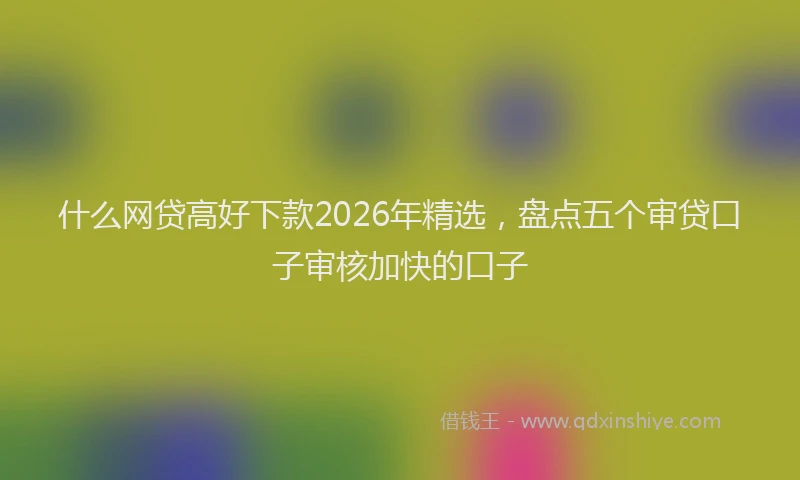 什么网贷高好下款2026年精选，盘点五个审贷口子审核加快的口子