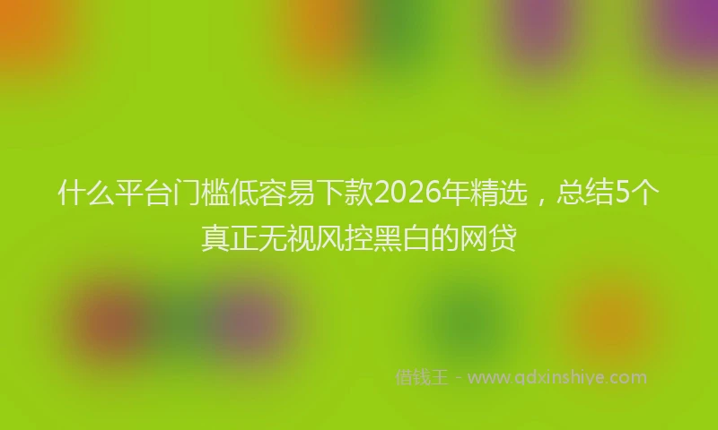 什么平台门槛低容易下款2026年精选，总结5个真正无视风控黑白的网贷
