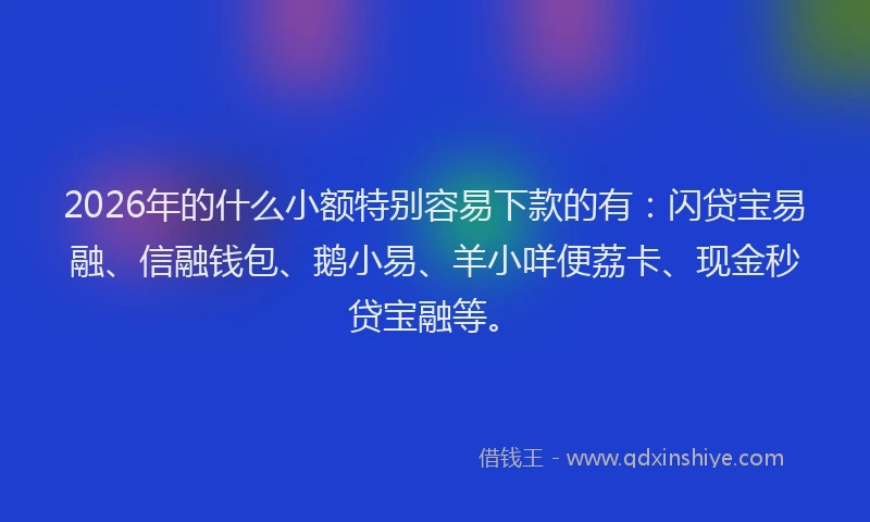 2026年的什么小额特别容易下款的有：闪贷宝易融、信融钱包、鹅小易、羊小咩便荔卡、现金秒贷宝融等。