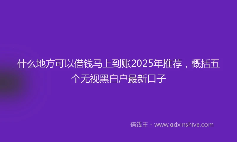 什么地方可以借钱马上到账2025年推荐，概括五个无视黑白户最新口子
