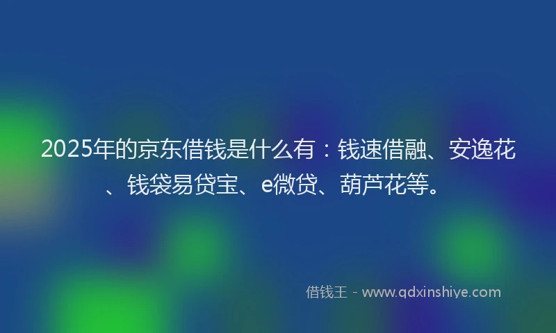 2025年的京东借钱是什么有：钱速借融、安逸花、钱袋易贷宝、e微贷、葫芦花等。