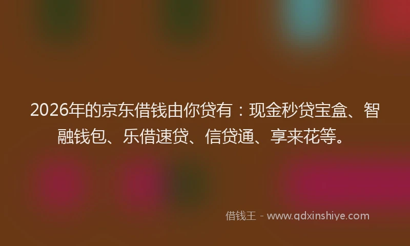 2026年的京东借钱由你贷有：现金秒贷宝盒、智融钱包、乐借速贷、信贷通、享来花等。