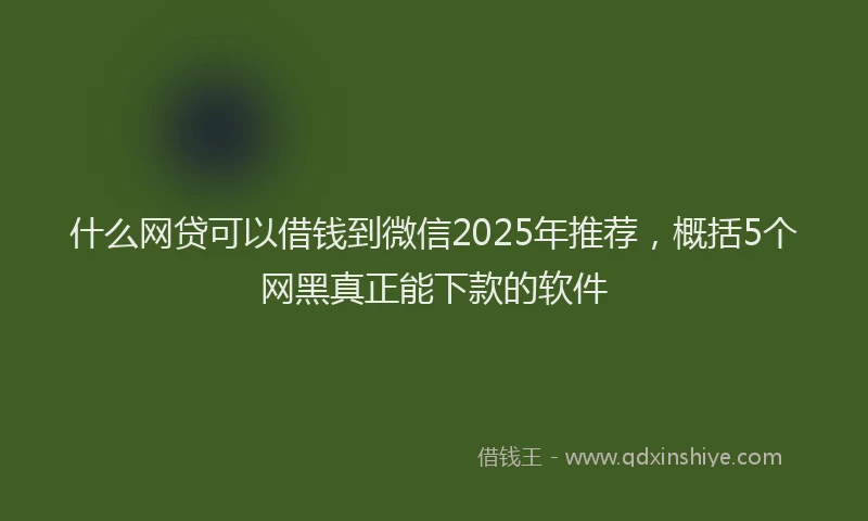什么网贷可以借钱到微信2025年推荐,概括5个网黑真正能下款的软件