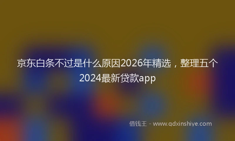 京东白条不过是什么原因2026年精选，整理五个2024最新贷款app