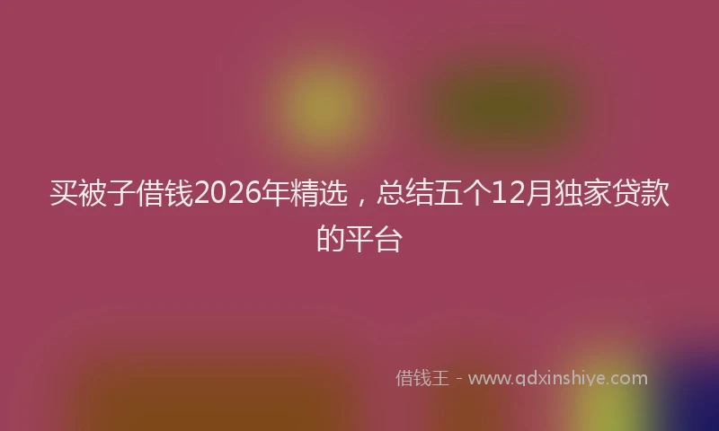 买被子借钱2026年精选，总结五个12月独家贷款的平台