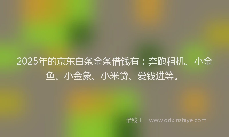 2025年的京东白条金条借钱有：奔跑租机、小金鱼、小金象、小米贷、爱钱进等。