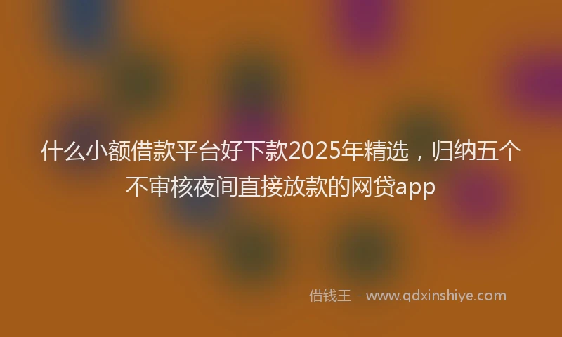 什么小额借款平台好下款2025年精选，归纳五个不审核夜间直接放款的网贷app