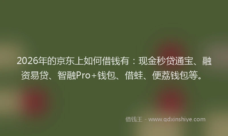 2026年的京东上如何借钱有：现金秒贷通宝、融资易贷、智融Pro+钱包、借蛙、便荔钱包等。