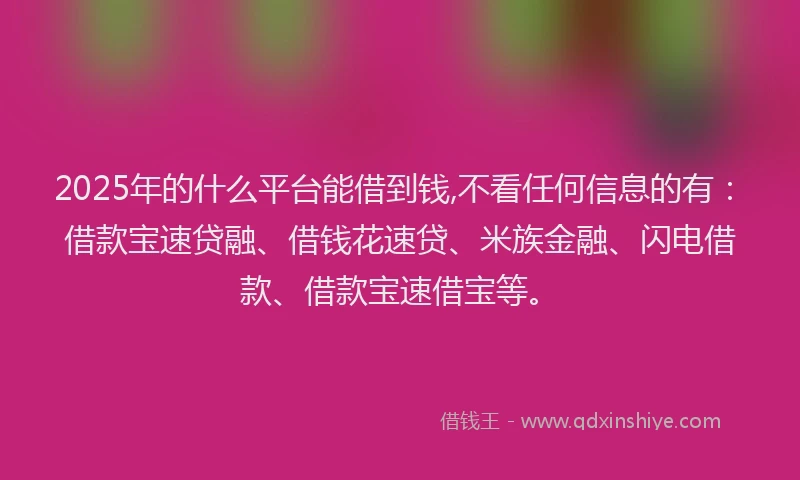 2025年的什么平台能借到钱,不看任何信息的有：借款宝速贷融、借钱花速贷、米族金融、闪电借款、借款宝速借宝等。