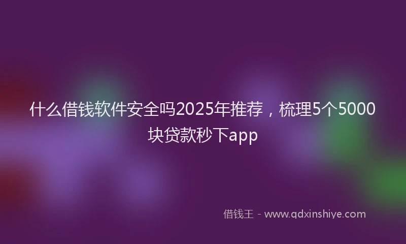 什么借钱软件安全吗2025年推荐，梳理5个5000块贷款秒下app