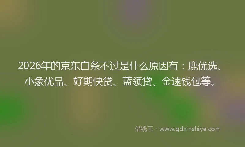 2026年的京东白条不过是什么原因有：鹿优选、小象优品、好期快贷、蓝领贷、金速钱包等。