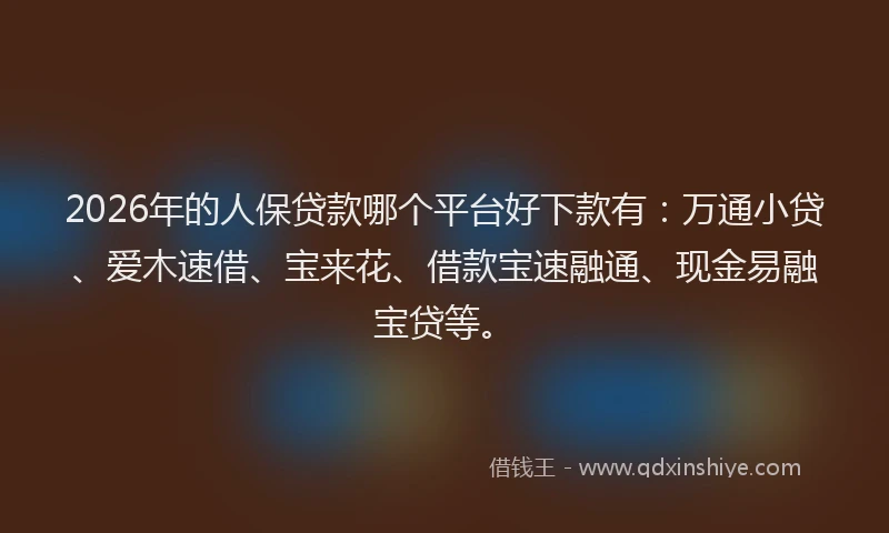 2026年的人保贷款哪个平台好下款有：万通小贷、爱木速借、宝来花、借款宝速融通、现金易融宝贷等。