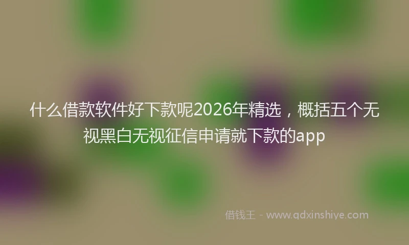 什么借款软件好下款呢2026年精选，概括五个无视黑白无视征信申请就下款的app