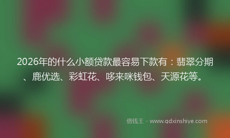 2026年的什么小额贷款最容易下款有：翡翠分期、鹿优选、彩虹花、哆来咪钱包、天源花等。