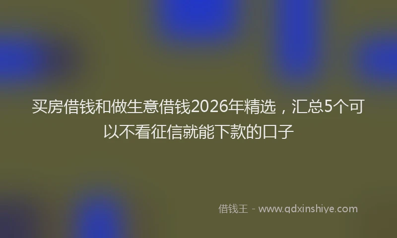 买房借钱和做生意借钱2026年精选，汇总5个可以不看征信就能下款的口子