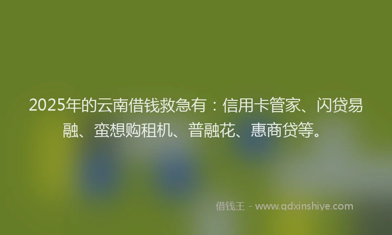 2025年的云南借钱救急有：信用卡管家、闪贷易融、蛮想购租机、普融花、惠商贷等。