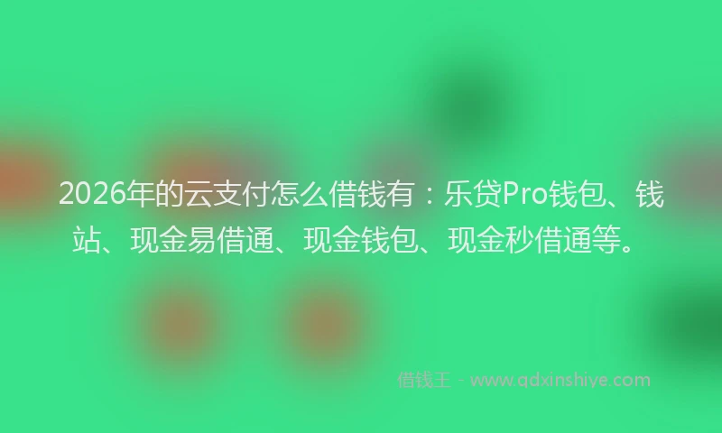 2026年的云支付怎么借钱有：乐贷Pro钱包、钱站、现金易借通、现金钱包、现金秒借通等。