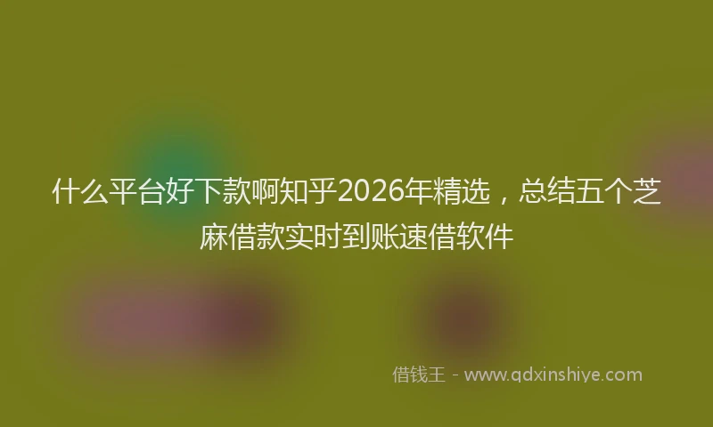 什么平台好下款啊知乎2026年精选，总结五个芝麻借款实时到账速借软件
