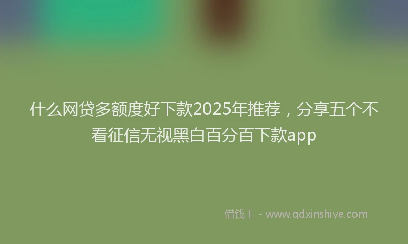 什么网贷多额度好下款2025年推荐，分享五个不看征信无视黑白百分百下款app