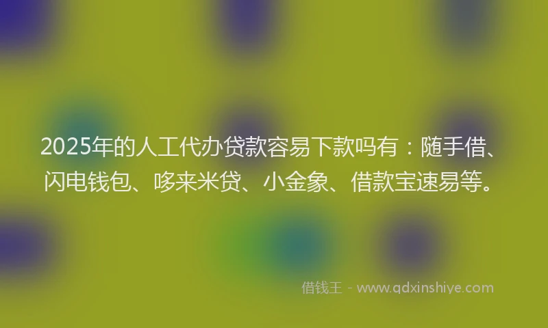 2025年的人工代办贷款容易下款吗有：随手借、闪电钱包、哆来米贷、小金象、借款宝速易等。