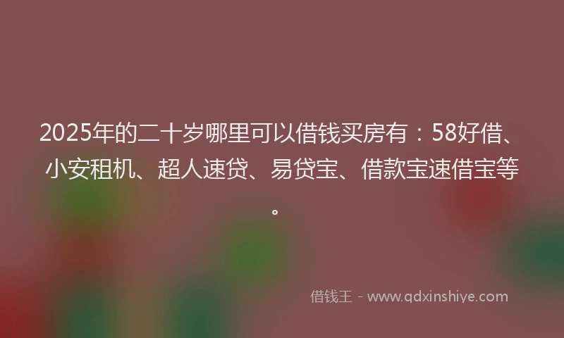 2025年的二十岁哪里可以借钱买房有：58好借、小安租机、超人速贷、易贷宝、借款宝速借宝等。