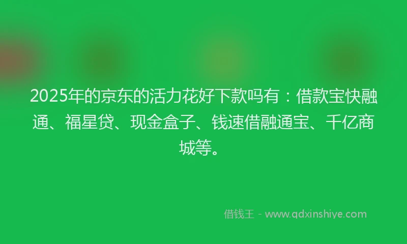 2025年的京东的活力花好下款吗有：借款宝快融通、福星贷、现金盒子、钱速借融通宝、千亿商城等。