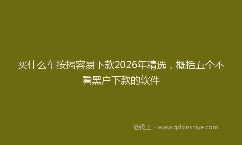 买什么车按揭容易下款2026年精选，概括五个不看黑户下款的软件