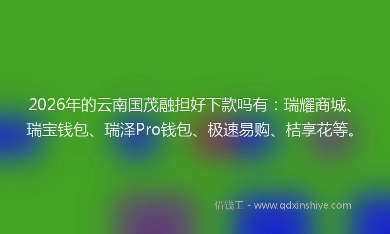 2026年的云南国茂融担好下款吗有：瑞耀商城、瑞宝钱包、瑞泽Pro钱包、极速易购、桔享花等。