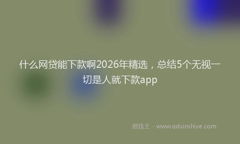 什么网贷能下款啊2026年精选，总结5个无视一切是人就下款app