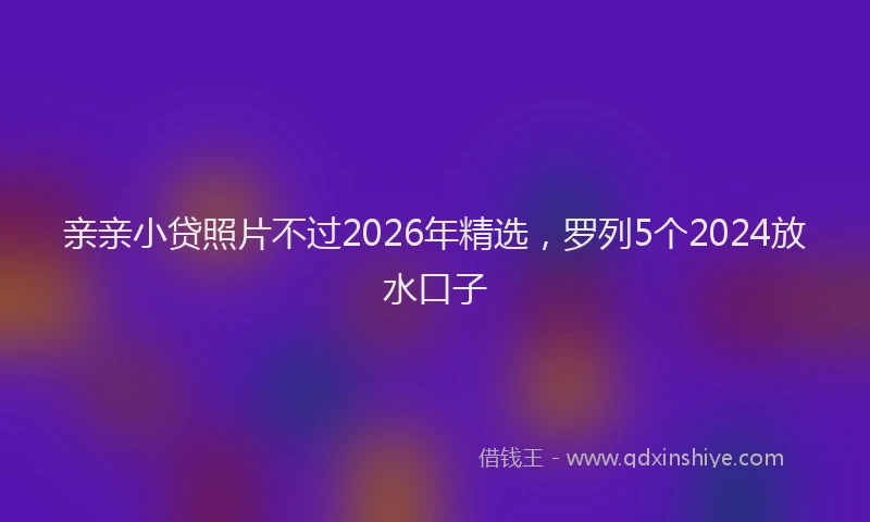 亲亲小贷照片不过2026年精选，罗列5个2024放水口子