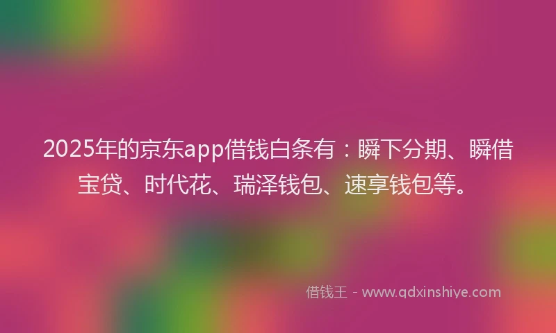 2025年的京东app借钱白条有：瞬下分期、瞬借宝贷、时代花、瑞泽钱包、速享钱包等。
