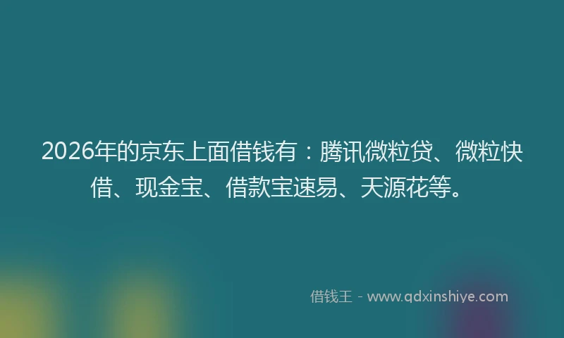 2026年的京东上面借钱有：腾讯微粒贷、微粒快借、现金宝、借款宝速易、天源花等。