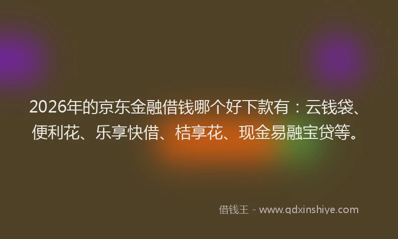 2026年的京东金融借钱哪个好下款有:云钱袋、便利花、乐享快借、桔享花、现金易融宝贷等。
