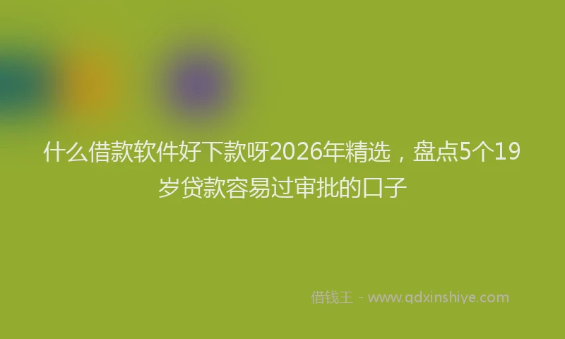 什么借款软件好下款呀2026年精选，盘点5个19岁贷款容易过审批的口子