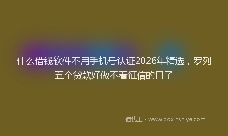 什么借钱软件不用手机号认证2026年精选，罗列五个贷款好做不看征信的口子