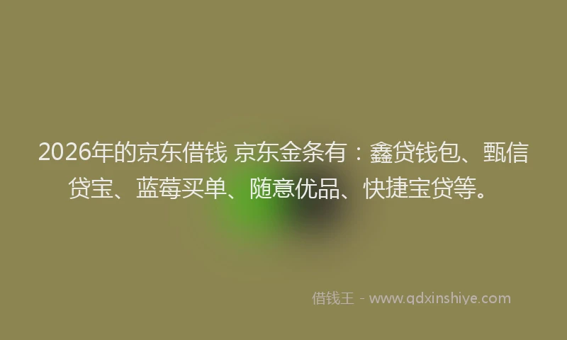 2026年的京东借钱 京东金条有：鑫贷钱包、甄信贷宝、蓝莓买单、随意优品、快捷宝贷等。