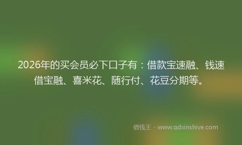 2026年的买会员必下口子有：借款宝速融、钱速借宝融、喜米花、随行付、花豆分期等。