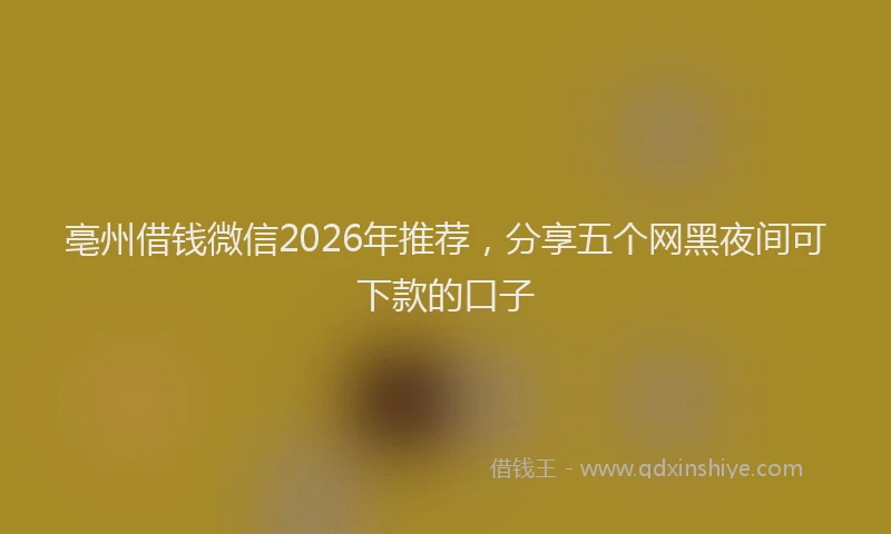 亳州借钱微信2026年推荐，分享五个网黑夜间可下款的口子