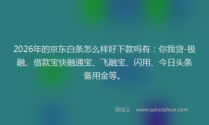 2026年的京东白条怎么样好下款吗有：你我贷-极融、借款宝快融通宝、飞融宝、闪用、今日头条备用金等。