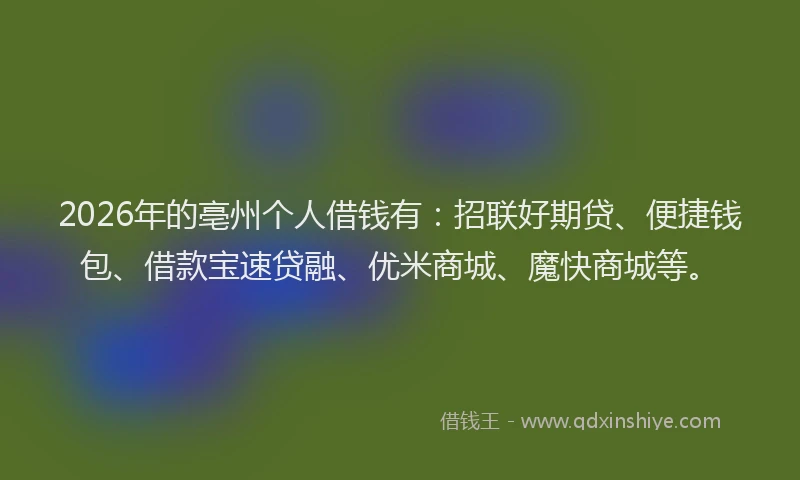 2026年的亳州个人借钱有：招联好期贷、便捷钱包、借款宝速贷融、优米商城、魔快商城等。