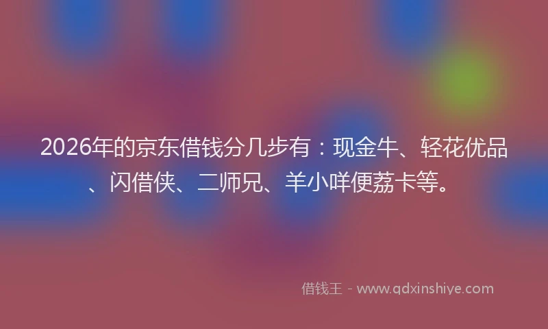 2026年的京东借钱分几步有：现金牛、轻花优品、闪借侠、二师兄、羊小咩便荔卡等。
